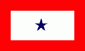 1 star flag